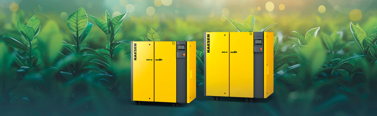 Secure your ASD/BSD series rotary screw compressor today.