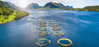 Tryckluftskompressor i drift inom vattenbruk – energioptimerad lösning från KAESER KOMPRESSORER för ett hållbart tryckluftsbehov.