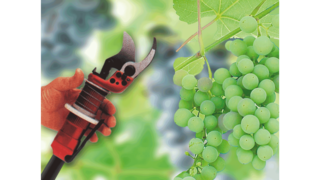 KAESER:s industrikolvkompressorer inom vintillverkning.